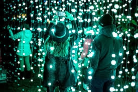 04.01: Roma Trame di Luce all'Orto Botanico e pranzo da Meo Patacca Gite 1 giorno